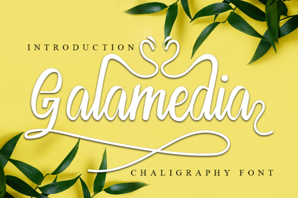 Galamedia: A Handwritten Font for Professional Branding