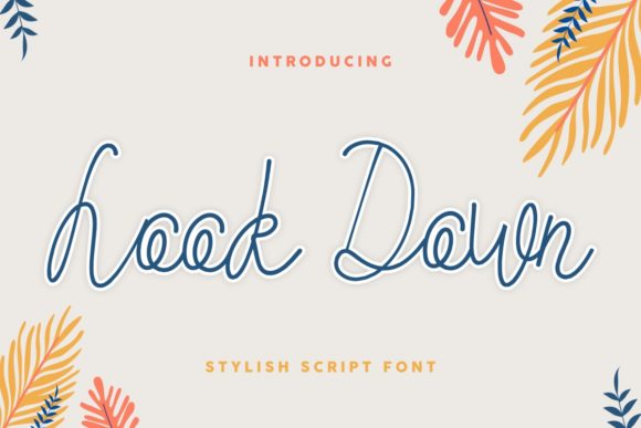 How Look Down Font Elevated My Brand’s Visual Identity