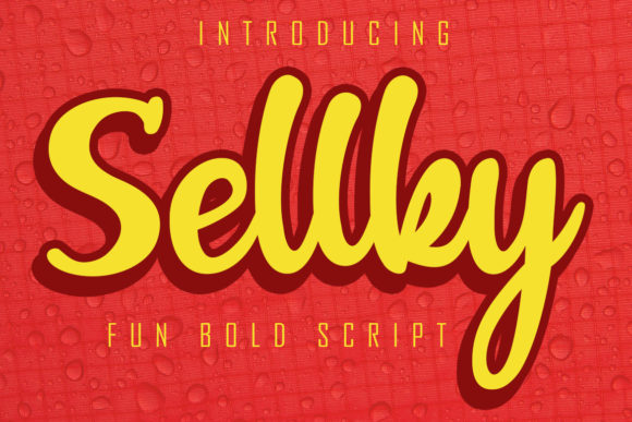 How Sellky Elevates Web Design with a Handwritten Touch